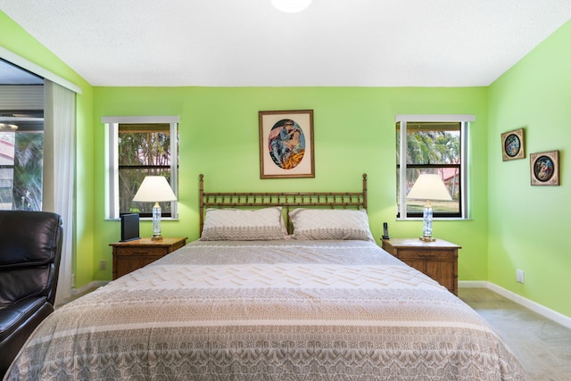 bedroom featuring carpet