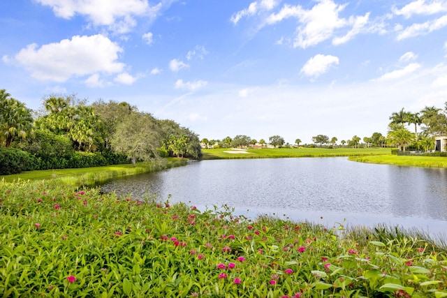 view of water feature