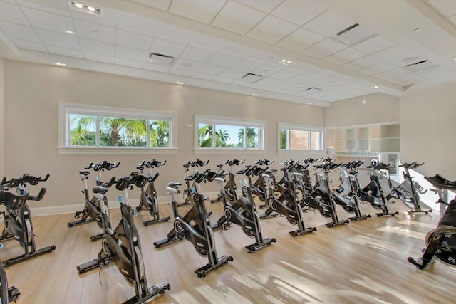 gym with plenty of natural light, a drop ceiling, and light wood-type flooring