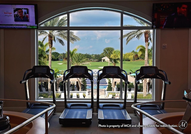 workout area featuring a healthy amount of sunlight