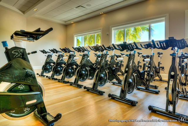 workout area featuring hardwood / wood-style flooring