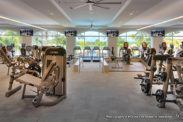 exercise room with ceiling fan, a raised ceiling, ornamental molding, and light carpet