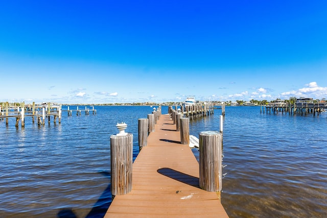 dock area with a water view