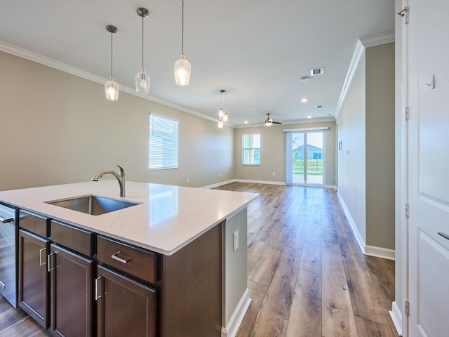 kitchen featuring a wealth of natural light, an island with sink, ceiling fan, and sink