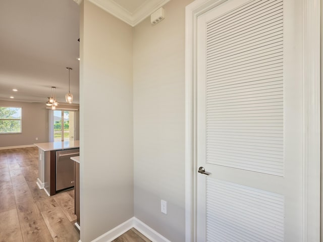 hallway with light hardwood / wood-style floors and crown molding