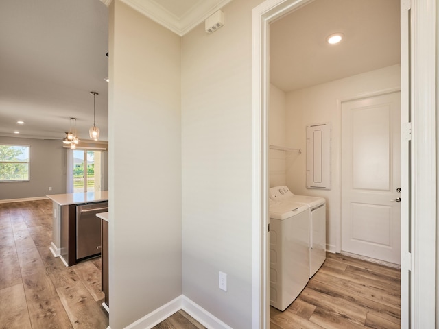 laundry area with independent washer and dryer, crown molding, ceiling fan, and light wood-type flooring