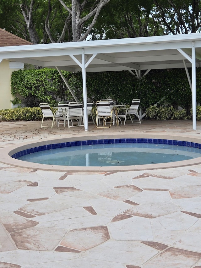 view of pool with a patio