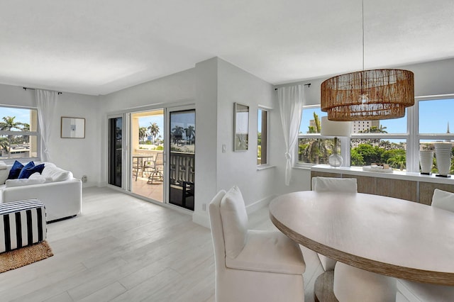 dining space featuring light hardwood / wood-style flooring and a healthy amount of sunlight