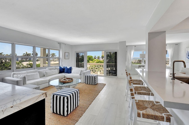 living room featuring light hardwood / wood-style flooring