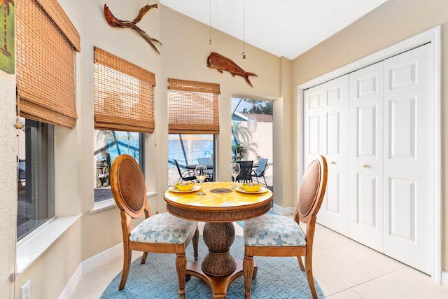 tiled dining room featuring plenty of natural light