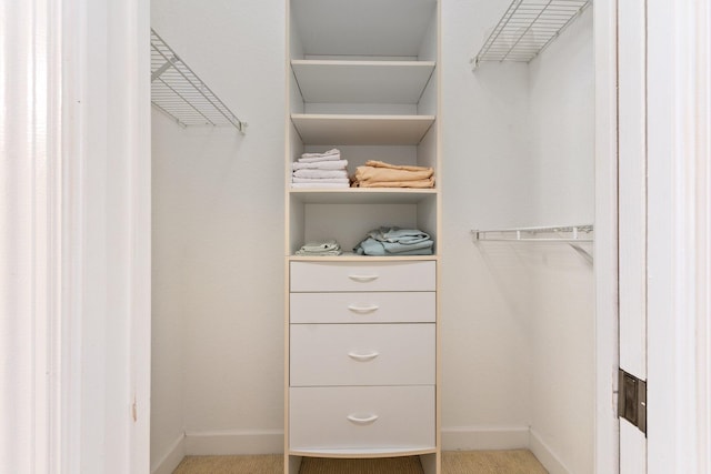 walk in closet with carpet flooring