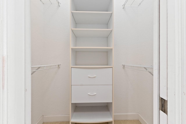 spacious closet with carpet flooring