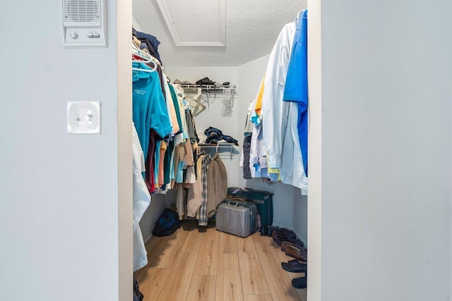 walk in closet with light hardwood / wood-style floors