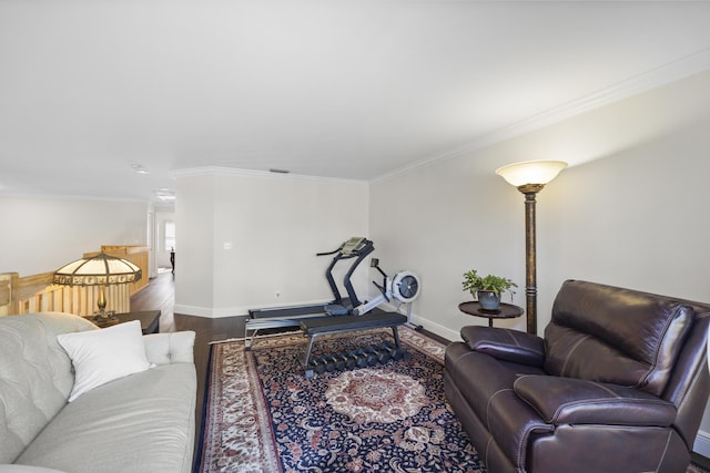 living room with crown molding and wood-type flooring