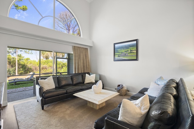 living room with a high ceiling and hardwood / wood-style flooring