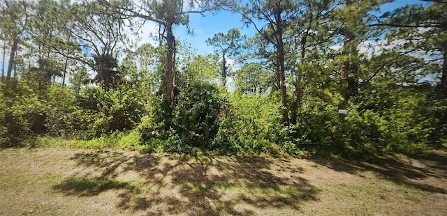 8010 Rolling Cir, Labelle FL, 33935 land for sale