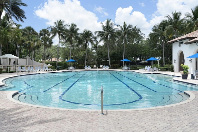 view of pool featuring a patio