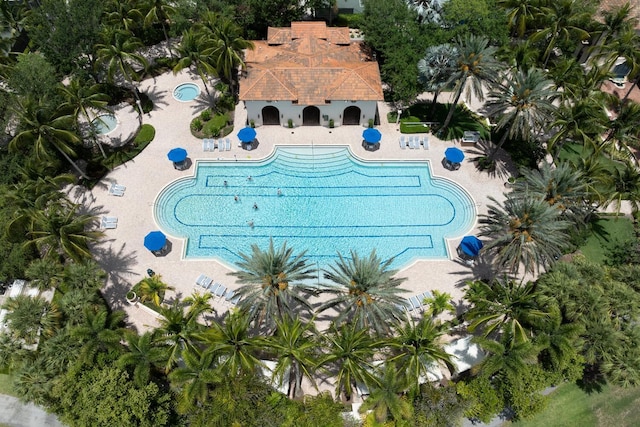 view of swimming pool