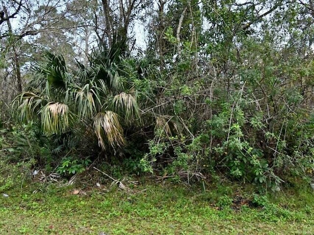 0 NW 61st St, Ocala FL, 34479 land for sale