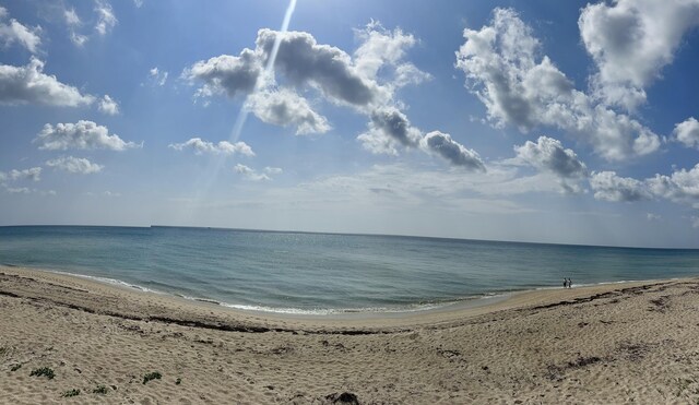 water view featuring a beach view