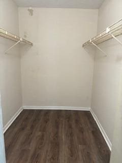 walk in closet with dark hardwood / wood-style flooring