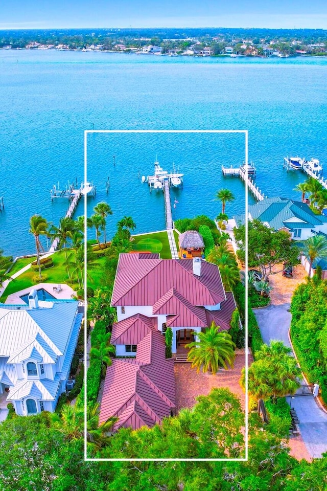 aerial view with a water view