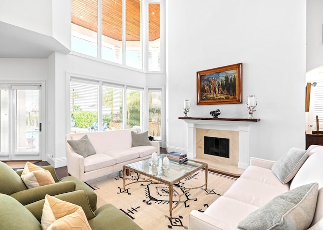 living room with hardwood / wood-style flooring, a towering ceiling, and a fireplace