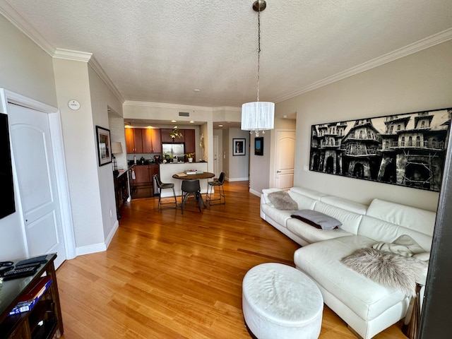 living room featuring hardwood / wood-style floors, a textured ceiling, and crown molding