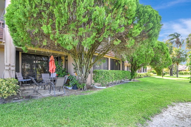 view of yard with a patio