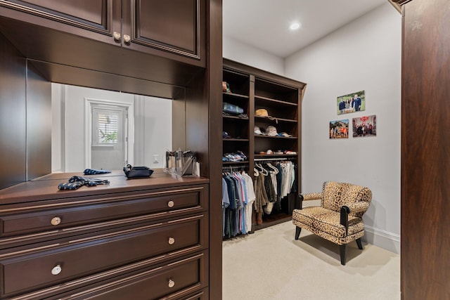 spacious closet with light colored carpet