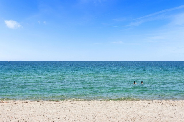 water view featuring a beach view