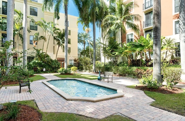 view of swimming pool