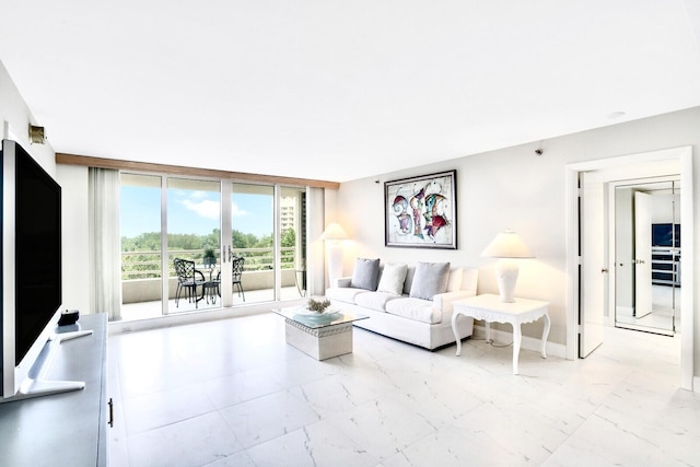 living room featuring expansive windows