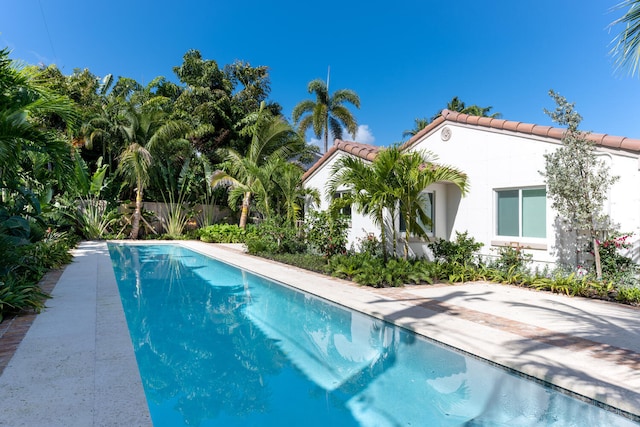 view of pool featuring a patio