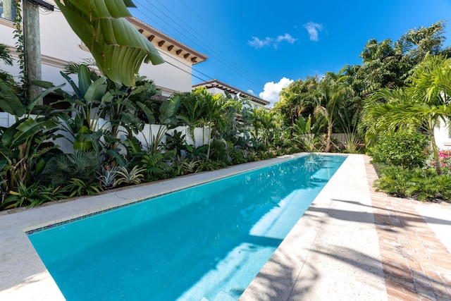 view of swimming pool