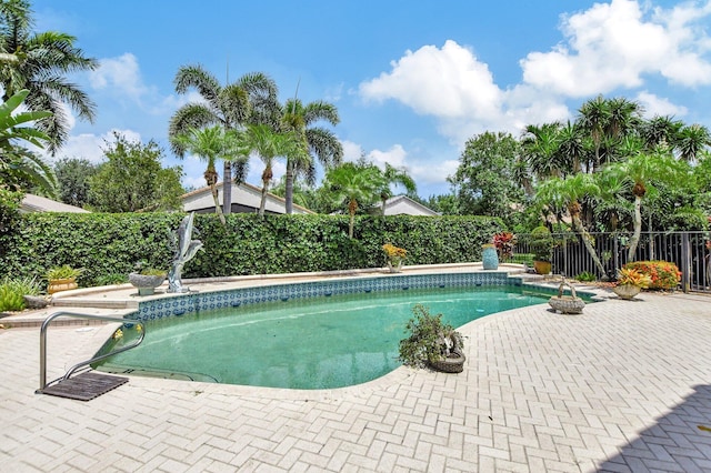 view of swimming pool with a patio