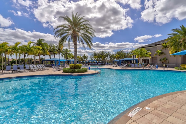 view of pool featuring a patio