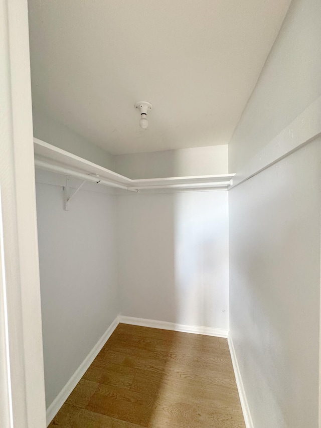 spacious closet with hardwood / wood-style floors