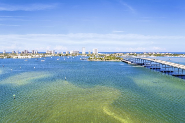 water view featuring a boat dock