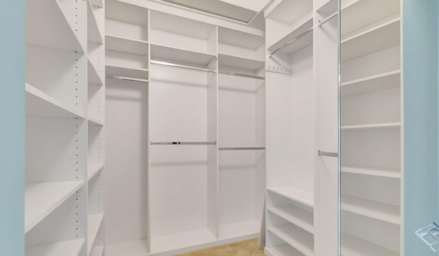 view of spacious closet