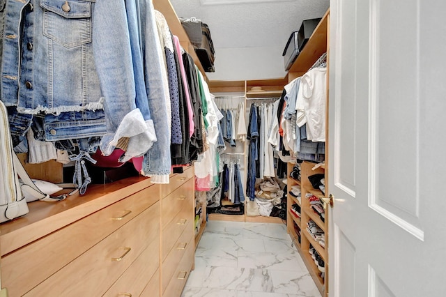 view of walk in closet