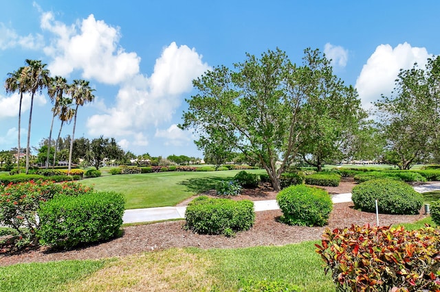 view of property's community featuring a yard