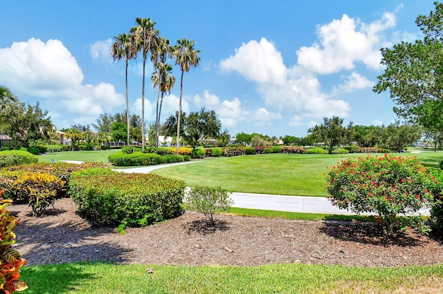 view of property's community featuring a yard