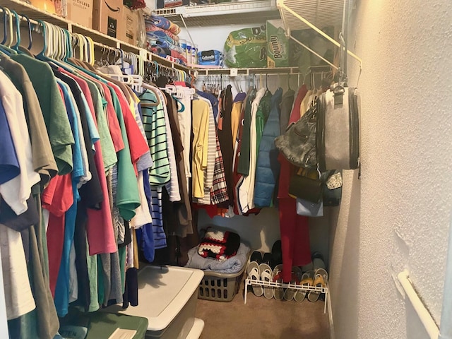 view of spacious closet