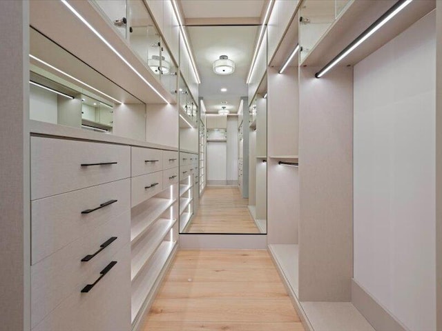 spacious closet featuring light hardwood / wood-style floors