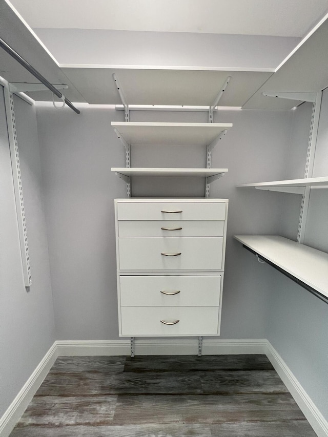 walk in closet featuring dark hardwood / wood-style floors