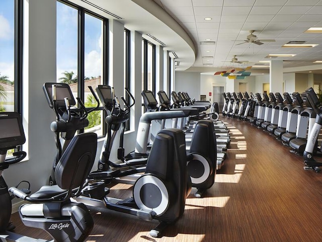 gym with a paneled ceiling, floor to ceiling windows, and ceiling fan