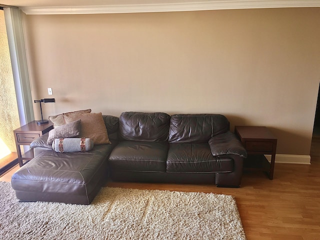 living room featuring hardwood / wood-style flooring and crown molding