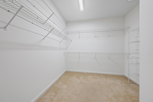 walk in closet with carpet floors