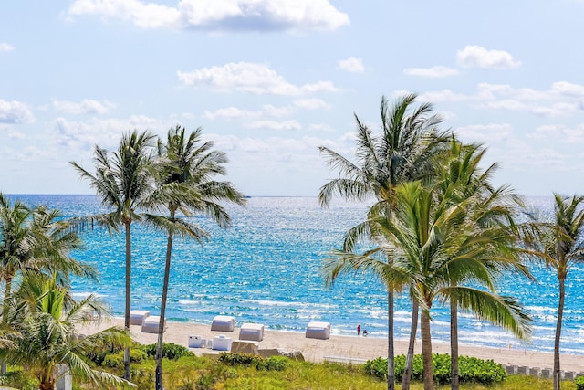 view of water feature featuring a beach view